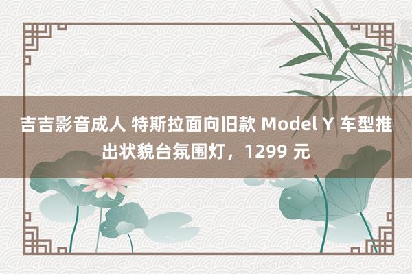 吉吉影音成人 特斯拉面向旧款 Model Y 车型推出状貌台氛围灯，1299 元