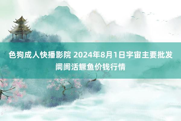 色狗成人快播影院 2024年8月1日宇宙主要批发阛阓活鳜鱼价钱行情