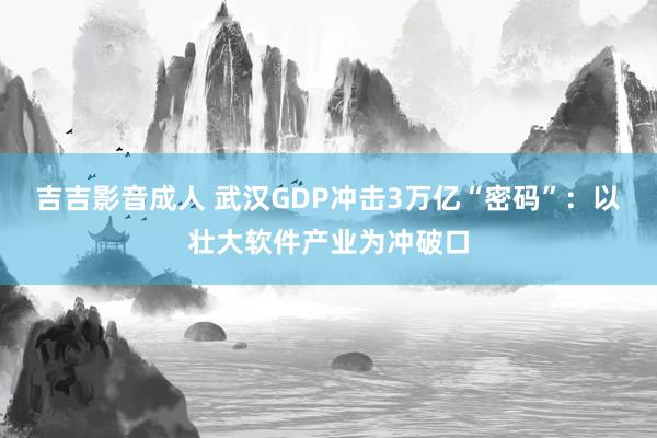 吉吉影音成人 武汉GDP冲击3万亿“密码”：以壮大软件产业为冲破口