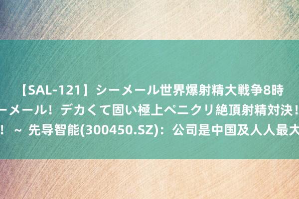 【SAL-121】シーメール世界爆射精大戦争8時間 ～国内＆金髪S級シーメール！デカくて固い極上ペニクリ絶頂射精対決！！～ 先导智能(300450.SZ)：公司是中国及人人最大的锂电板智能装备提供商