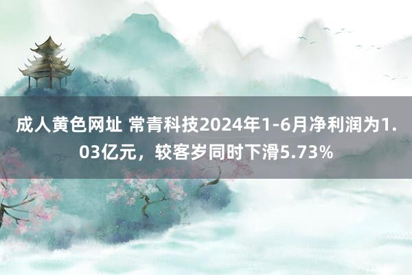 成人黄色网址 常青科技2024年1-6月净利润为1.03亿元，较客岁同时下滑5.73%