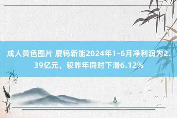 成人黄色图片 厦钨新能2024年1-6月净利润为2.39亿元，较昨年同时下滑6.12%