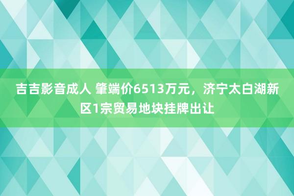 吉吉影音成人 肇端价6513万元，济宁太白湖新区1宗贸易地块挂牌出让