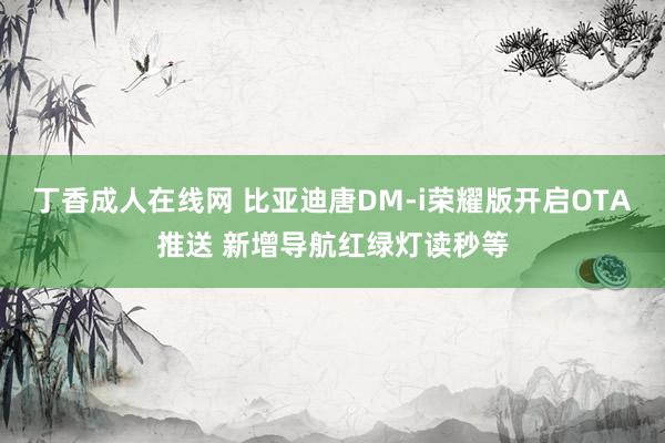 丁香成人在线网 比亚迪唐DM-i荣耀版开启OTA推送 新增导航红绿灯读秒等