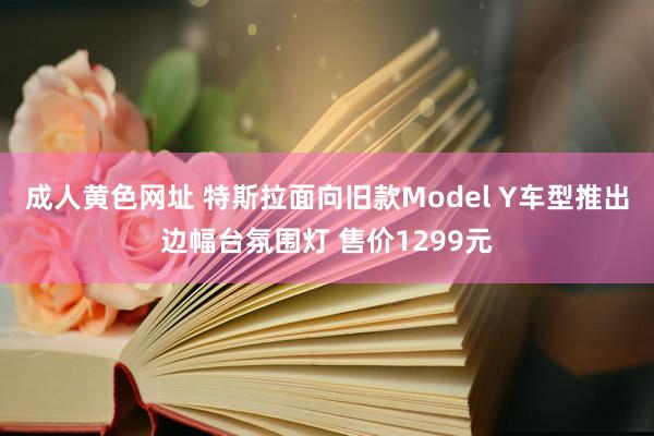 成人黄色网址 特斯拉面向旧款Model Y车型推出边幅台氛围灯 售价1299元