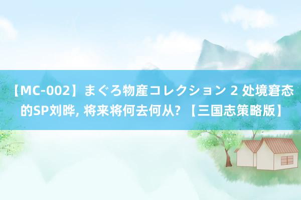 【MC-002】まぐろ物産コレクション 2 处境窘态的SP刘晔， 将来将何去何从? 【三国志策略版】