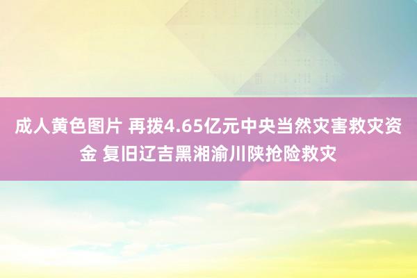 成人黄色图片 再拨4.65亿元中央当然灾害救灾资金 复旧辽吉黑湘渝川陕抢险救灾