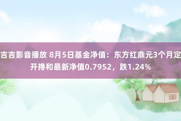 吉吉影音播放 8月5日基金净值：东方红鼎元3个月定开搀和最新净值0.7952，跌1.24%