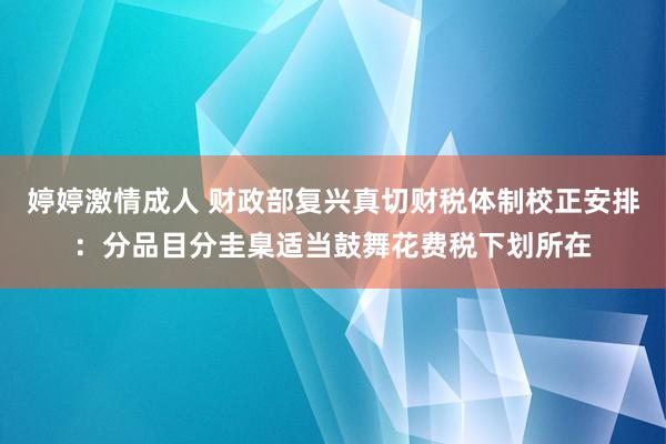 婷婷激情成人 财政部复兴真切财税体制校正安排：分品目分圭臬适当鼓舞花费税下划所在