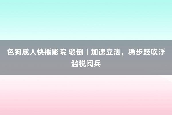 色狗成人快播影院 驳倒丨加速立法，稳步鼓吹浮滥税阅兵