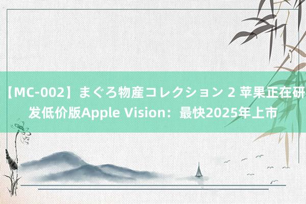 【MC-002】まぐろ物産コレクション 2 苹果正在研发低价版Apple Vision：最快2025年上市