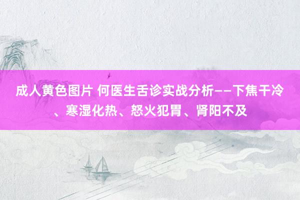 成人黄色图片 何医生舌诊实战分析——下焦干冷、寒湿化热、怒火犯胃、肾阳不及