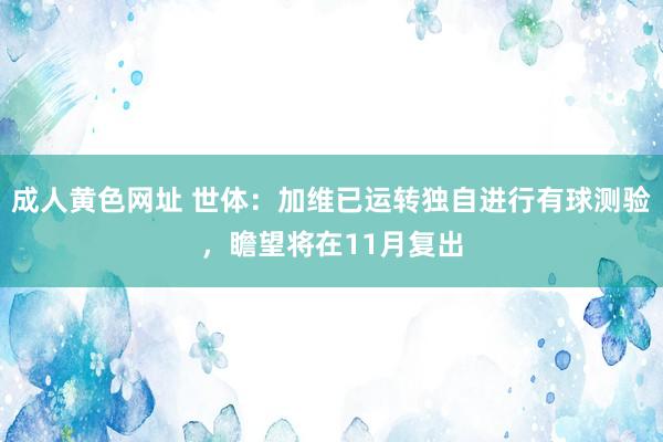 成人黄色网址 世体：加维已运转独自进行有球测验，瞻望将在11月复出