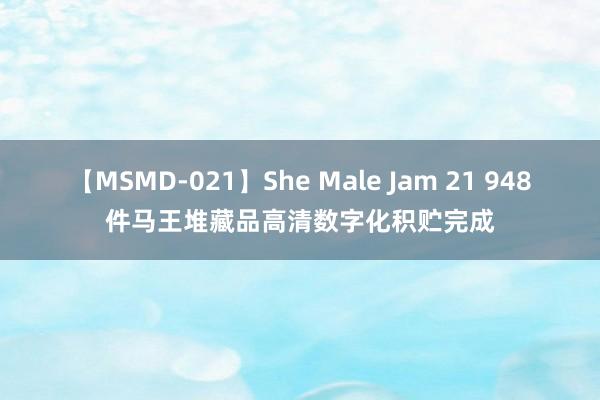 【MSMD-021】She Male Jam 21 948件马王堆藏品高清数字化积贮完成