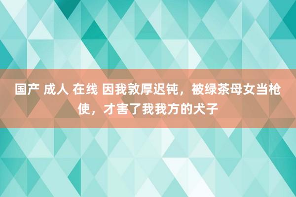 国产 成人 在线 因我敦厚迟钝，被绿茶母女当枪使，才害了我我方的犬子