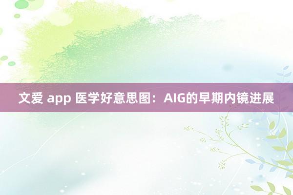 文爱 app 医学好意思图：AIG的早期内镜进展