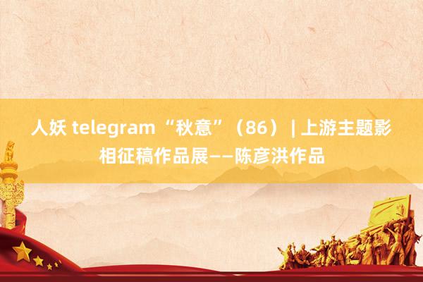 人妖 telegram “秋意”（86） | 上游主题影相征稿作品展——陈彦洪作品