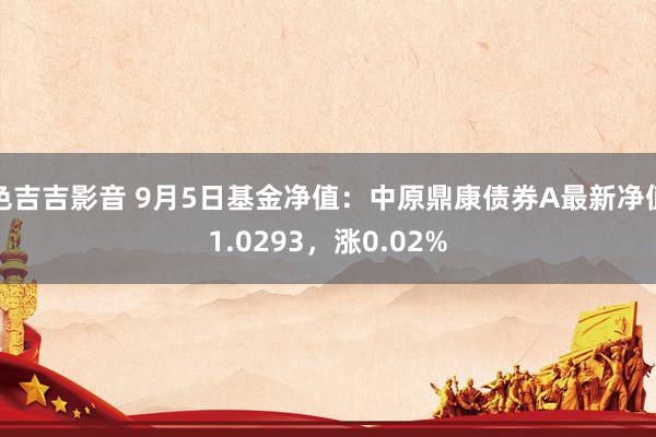 色吉吉影音 9月5日基金净值：中原鼎康债券A最新净值1.0293，涨0.02%