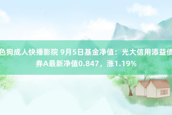 色狗成人快播影院 9月5日基金净值：光大信用添益债券A最新净值0.847，涨1.19%