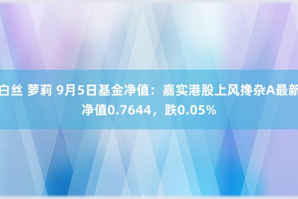 白丝 萝莉 9月5日基金净值：嘉实港股上风搀杂A最新净值0.7644，跌0.05%