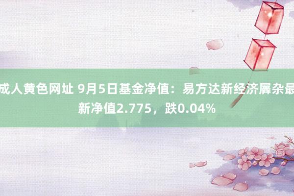 成人黄色网址 9月5日基金净值：易方达新经济羼杂最新净值2.775，跌0.04%