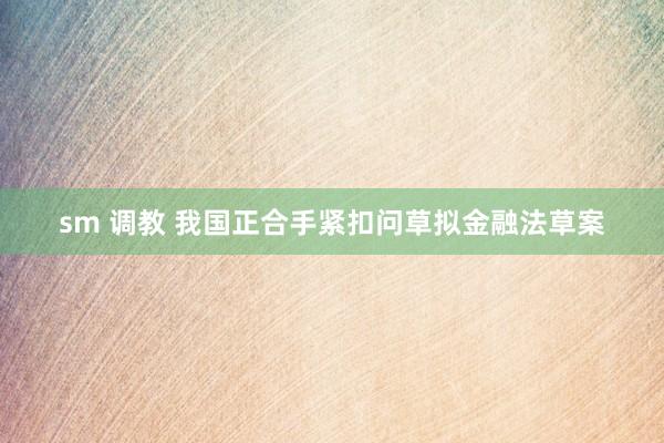 sm 调教 我国正合手紧扣问草拟金融法草案