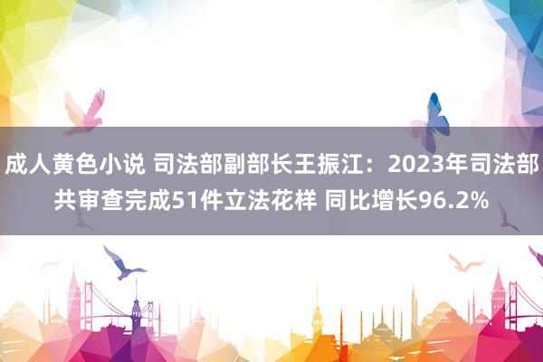 成人黄色小说 司法部副部长王振江：2023年司法部共审查完成51件立法花样 同比增长96.2%