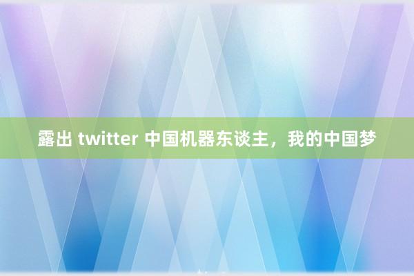 露出 twitter 中国机器东谈主，我的中国梦